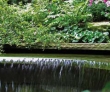 Teich