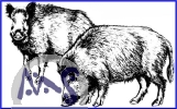 Olivenholzb�rste Jana